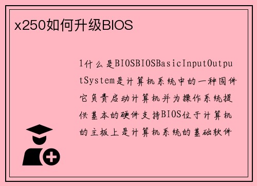 x250如何升级BIOS
